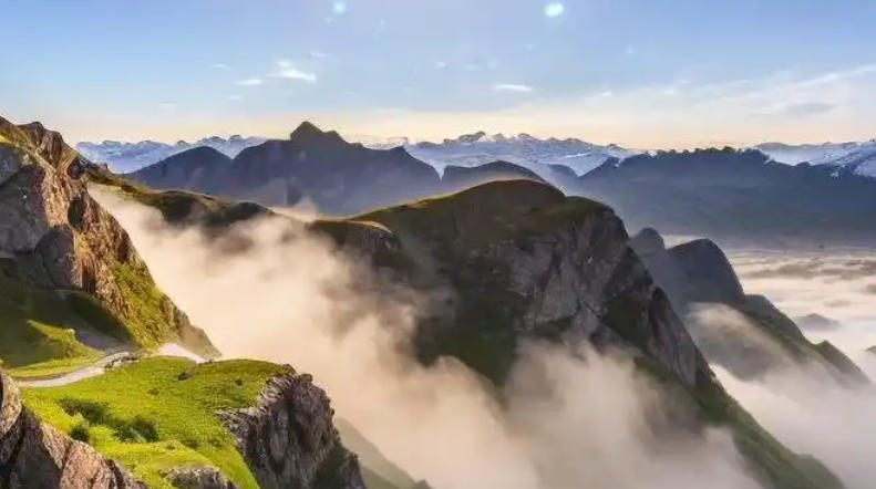 广东绿境园林景观工程有限公司轮播图4