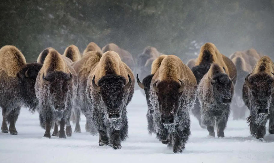 广东绿境园林景观工程有限公司轮播图3